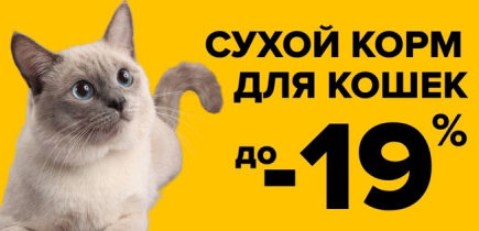 СКИДКА на сухой корм для кошек